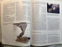 Foundations of Earth Science: International Edition