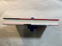 Asian Storm: The Economic Crisis Examined 　