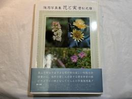 随想写真集　花と実