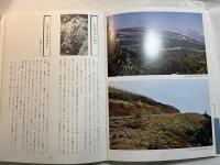 随想写真集　花と実