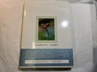 随想写真集　花と実