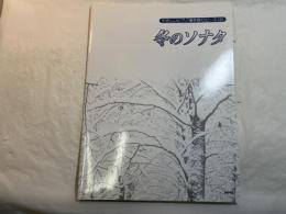 冬のソナタ ＜やさしいピアノ弾き語りピース 2＞