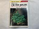 相学からみた才能・性格・適性診断 : あなたの子育ては間違っていないか ＜ひかりぶっくす＞
