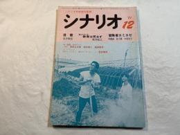 シナリオ　1981年12月号 シナリオ　遠雷、教育は死なず、冒険者カミカゼ