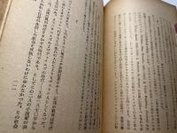 アメリカ文学の肖像
