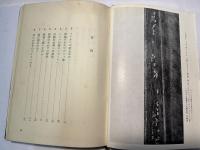 シンバ　　百獣の王国・タンガニカへ