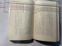 インフレーション　 現代経済学への挑戦 ＜岩波現代選書 18＞