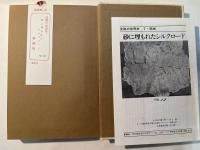 砂に埋もれたシルクロード　　沈黙の世界史7　　西域