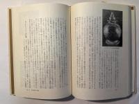 死者の丘・涅槃の塔　沈黙の世界史8 インド