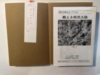 甦る暗黒大陸　沈黙の世界史13　アフリカ