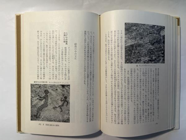 甦る暗黒大陸 沈黙の世界史13 アフリカ(寺田和夫・木村重信