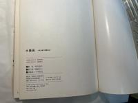 水墨画 　 線と面の実際技法　（墨絵技法シリーズ5 ）