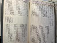 エピステーメー 1979年6+7月号 ＜終刊号＞　 特集=終わりへの侵犯
