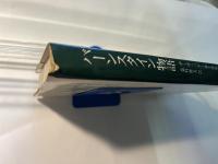 現代の超人バーンスタイン物語