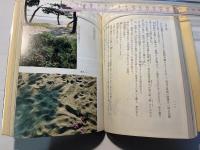 合浦公園さいぐべし					　
