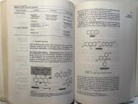 DNA Synthesis.