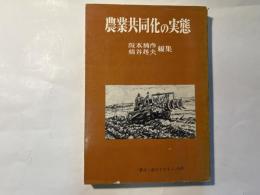 農業共同化の実態