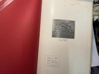 目でみる金原の１００年