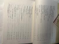 地域開発と経済政策 　　日本経済政策学会年報33