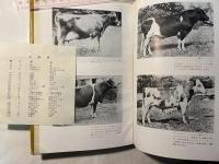 酪農家キーニィの牛飼い哲学　Cowphilosophy