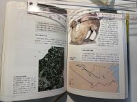 融合する文明    図説中国文明史5　(魏晋南北朝)