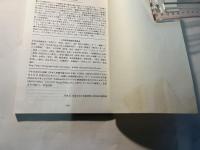 ’09 日本の人形劇   [日本人形劇年鑑2009年版]
