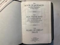 The Book Of Mormon Another Testament of Jesus Christ