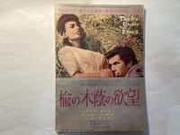 スクリーン　昭和33年7月号　　表紙　キム・ノヴァク