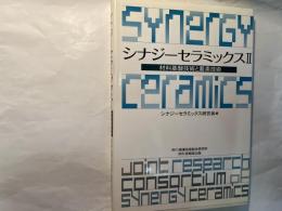 シナジーセラミックス 2 (材料基盤技術と要素技術)