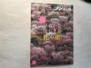 ノジュール2023年2月号　大特集：ピンクを追いかけて日本縦断！ 　「早春からはじまる花の旅」　