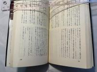 白夜の魔女 (マンボウ ブックス)