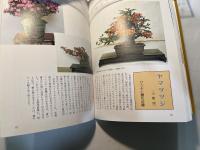 信州の盆栽づくり