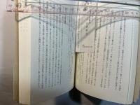 アジアの国家史　民族・地理・交流　(岩波現代全書030)