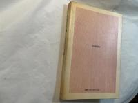 小さい巨像 　朝日選書 75