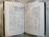 愛のなりたち