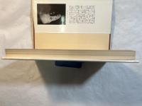 罪と罰の彼岸　叢書 ウニベルシタス