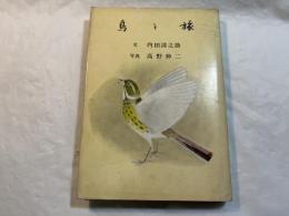 鳥と旅