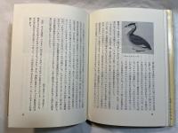 鳥と旅