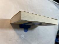 終焉の中のソ連史 ＜朝日選書 483＞