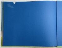 My first talking DIALOGUE BOOK Ⅱ