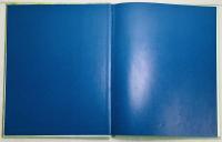 The Foxbury Force and the Pirates