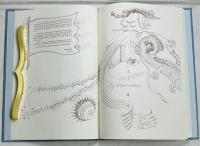 MY BELOVED ORCHESTRA