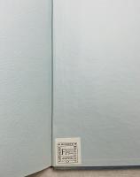 MY BELOVED ORCHESTRA