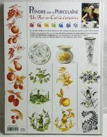 Peindre sur la porcelaine - Un arc-en-ciel de camaïeux