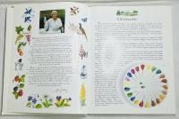 4 saisons à peindre sur la porcelaine et autres supports