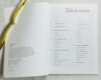 La Peinture Sur Porcelaine. Motifs Champetres