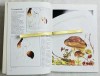 La Peinture Sur Porcelaine. Motifs Champetres