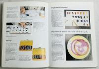 Technique américaine sur porcelaine