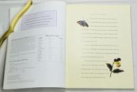 Painting Garden Birds with Sherry C. Nelson