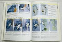 Painting Garden Birds with Sherry C. Nelson